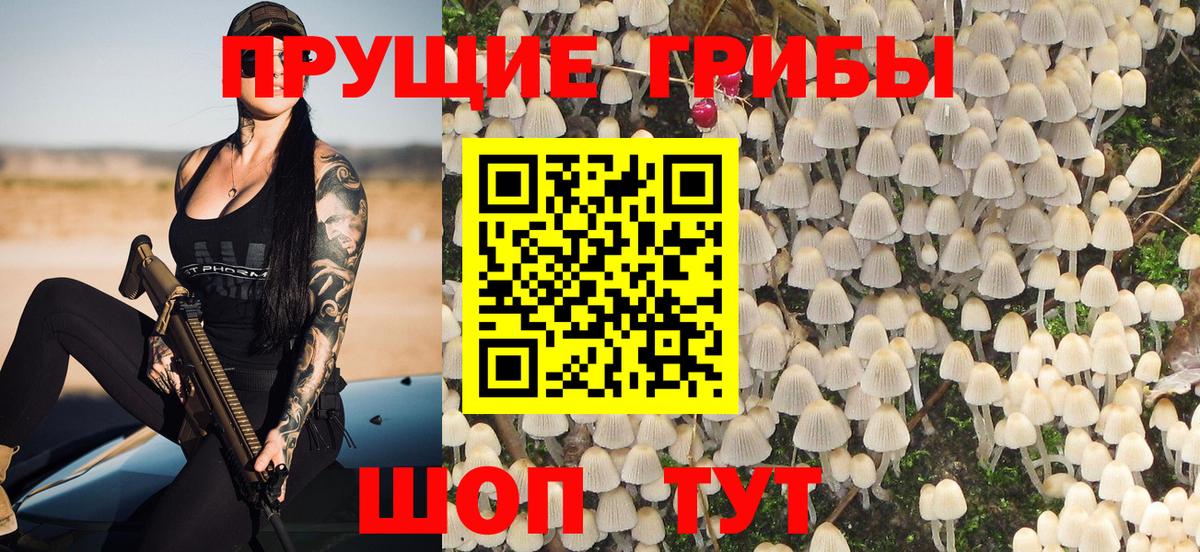Псилоцибиновые грибы GOLDEN TEACHER  где купить   Шебекино  Вход с VPN 