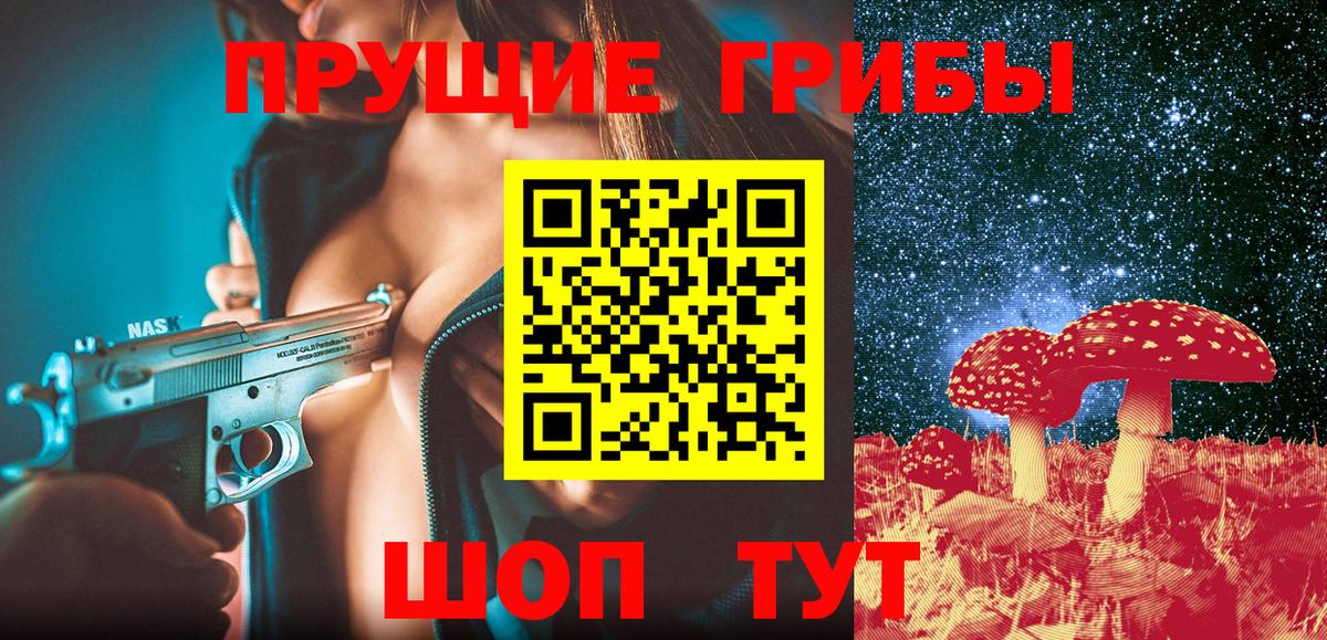 Галлюциногенные грибы Psilocybine cubensis Шебекино