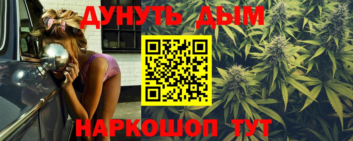Конопля сатива  Вход с VPN  Бошки марихуана тримм  Шебекино  Марихуана OG Kush 